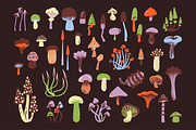Mushrooms clipart PNG and vector, a Healthcare Illustration by Paper Cherry (Thumbnail 3 of 12)