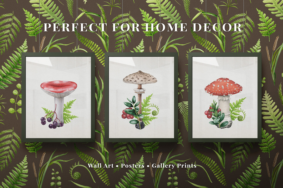 Forest Mushrooms Watercolor Clipart, a Decorative Illustration by AnitaPol (Photo 17 of 21)