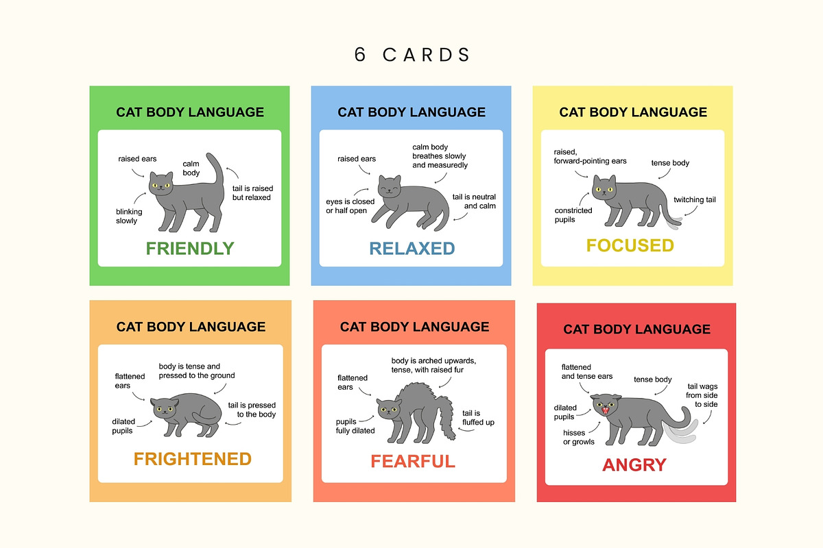 Cat Emotions & Body Language Clipart, an Animal Illustration by Kristina Chistiakova (Photo 3 of 4)
