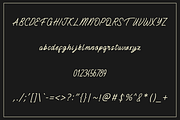 Fordlander Font, a Handwritten Font by albert_kalingga (Thumbnail 4 of 5)