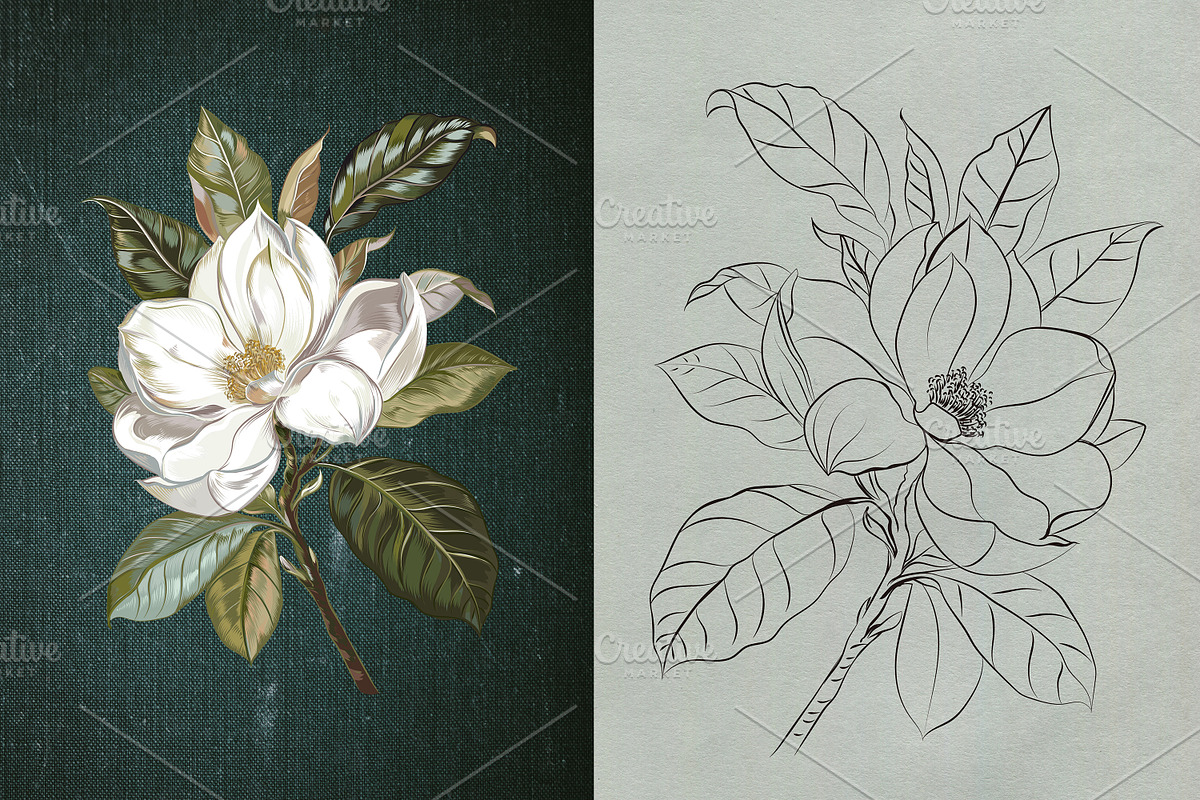 Lemons and Magnolia vector set, an Object Illustration by FleurArt (Photo 7 of 11)