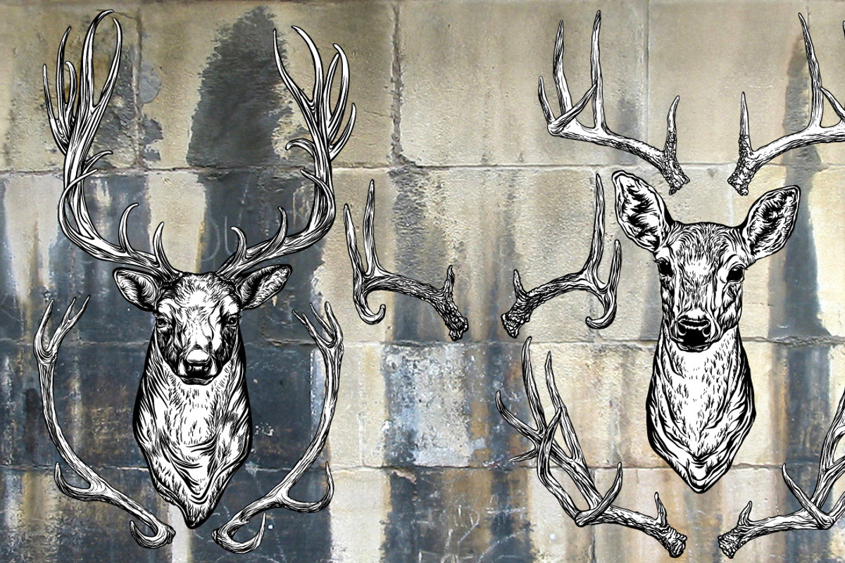 Deer and antlers set., an Object Graphic by ArtOwl (Photo 2 of 4)