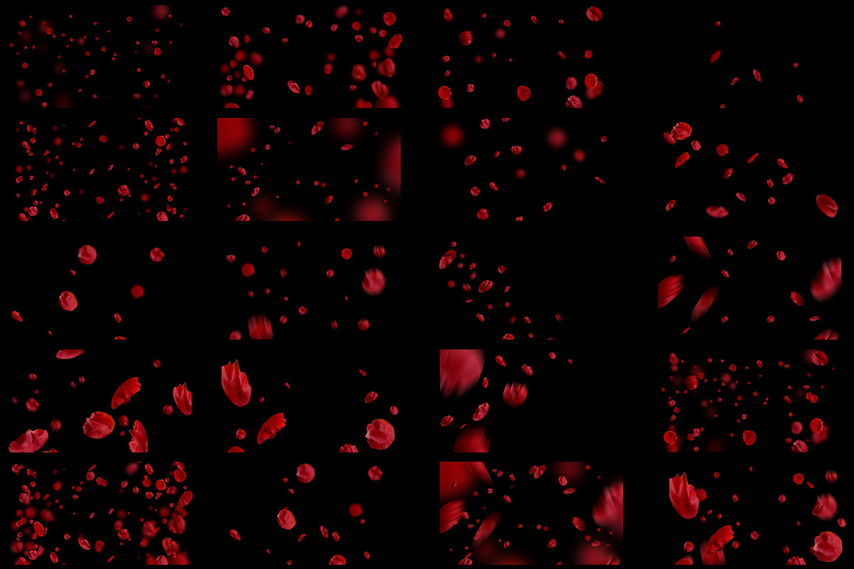 5K Petals Overlays, an Object Graphic by ArtPlanet (Photo 6 of 12)