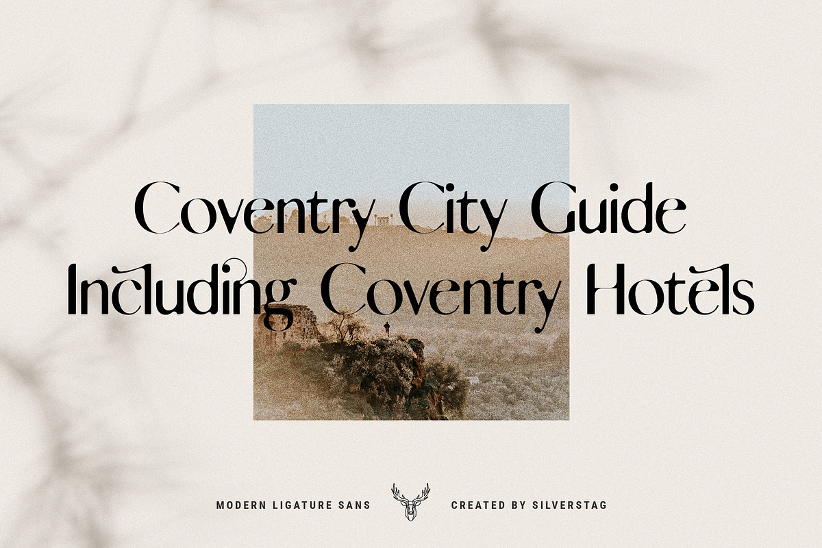 skylar - modern ligature sans font, a Sans Serif Font by SilverStag Type Foundry (Photo 9 of 18)