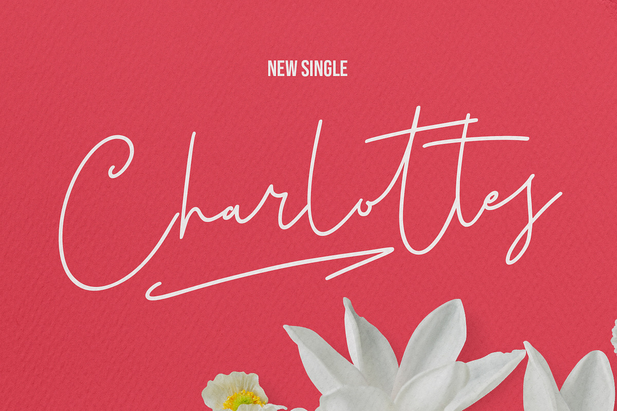 Christie Dianna Valentine Font, a Script Font by Maulana Creative (Photo 4 of 10)