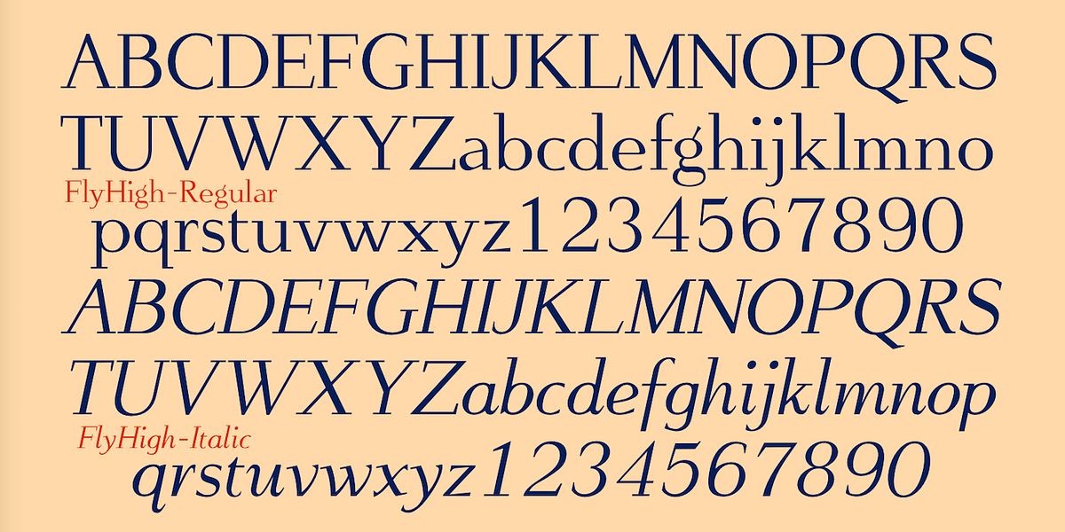 FlyHigh, a Slab Serif Font by Ingrimayne Type (Photo 6 of 10)