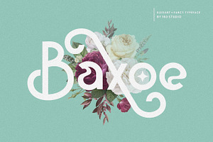 Baxoe Elegant And Fancy Typeface