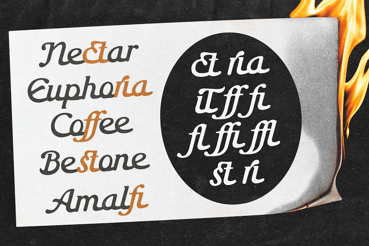Special Editorial, a Script Font by Letter Fresh (Photo 11 of 13)