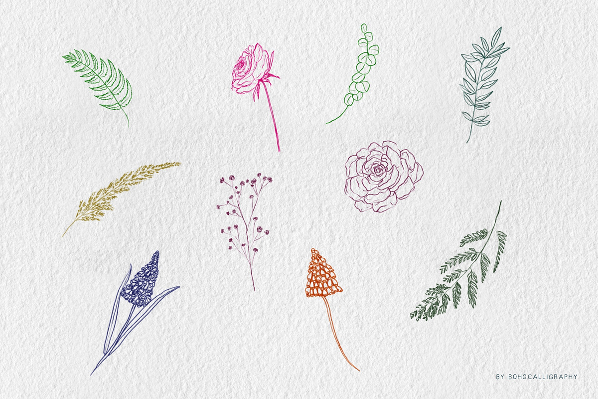 Wildflowers Procreate Stamps, a Brush Add-On by BohoCalligraphy (Photo 4 of 9)