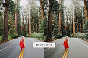 The Dreamer – 8 Lightroom Presets, a Preset Add-On by SHOOM HOUSE (Thumbnail 6 of 11)