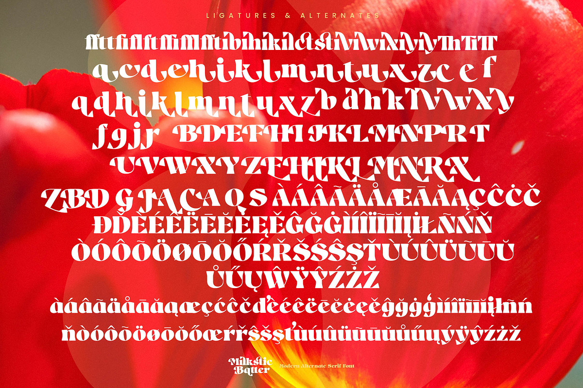Milkstic Batter Modern Serif, a Serif Font by timelesstype.co (Photo 19 of 20)
