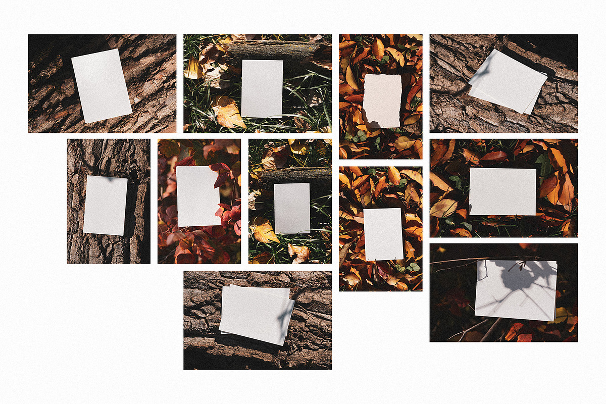 Autumn Photos & Mockups, a Print Template by Artcoast Studio (Photo 6 of 6)