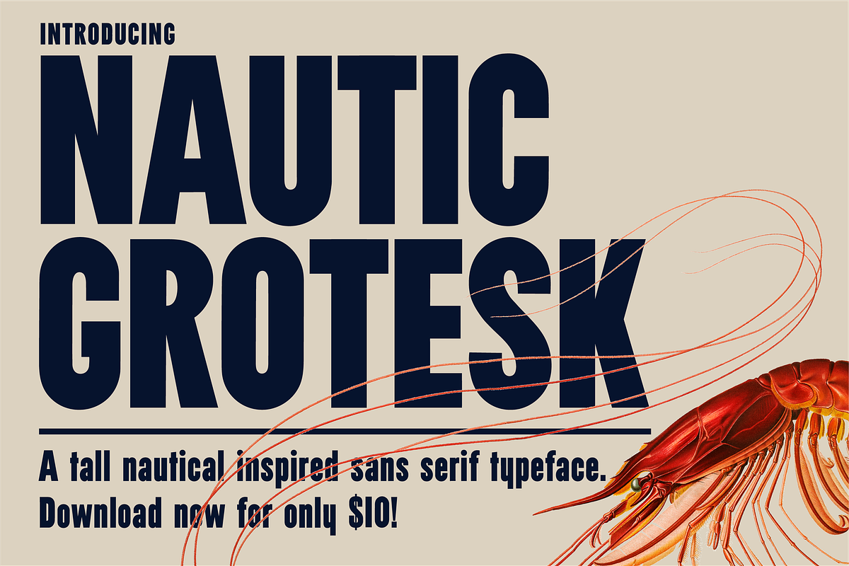Nautic Grotesk - Modern Display Font, a Sans Serif Font by Bnick (Photo 1 of 12)