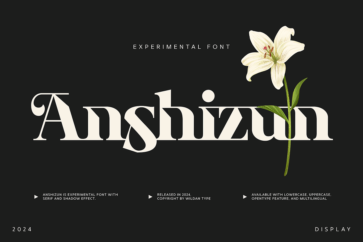 Anshizun, a Serif Font by Wildan Type (Photo 1 of 8)