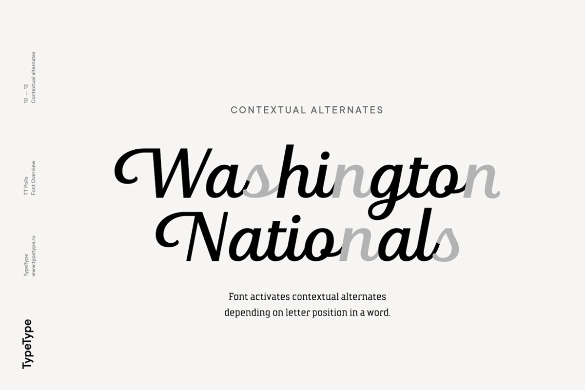 TT Polls, a Slab Serif Font by TypeType (Photo 12 of 18)