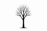 Wild Forest Tree Clipart Set, an Illustration by balal (Thumbnail 12 of 21)