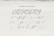 Geraldyn Brushko | Modern Calligraph, a Script Font by Denustudios (Thumbnail 10 of 13)