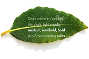 Xenta Sans fonts, a Sans Serif Font by Wiescher Design (Thumbnail 8 of 8)