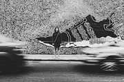 Black + White Preset Pack-7 Presets, a Preset Add-On by Lightroom Presets (Thumbnail 7 of 7)