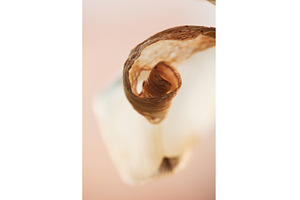 Earthy Spiral: The Abstract Beauty, a Nature Photo by Rohan Photography