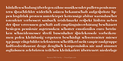 Barocco PRO, a Serif Font by preussTYPE (Thumbnail 2 of 12)
