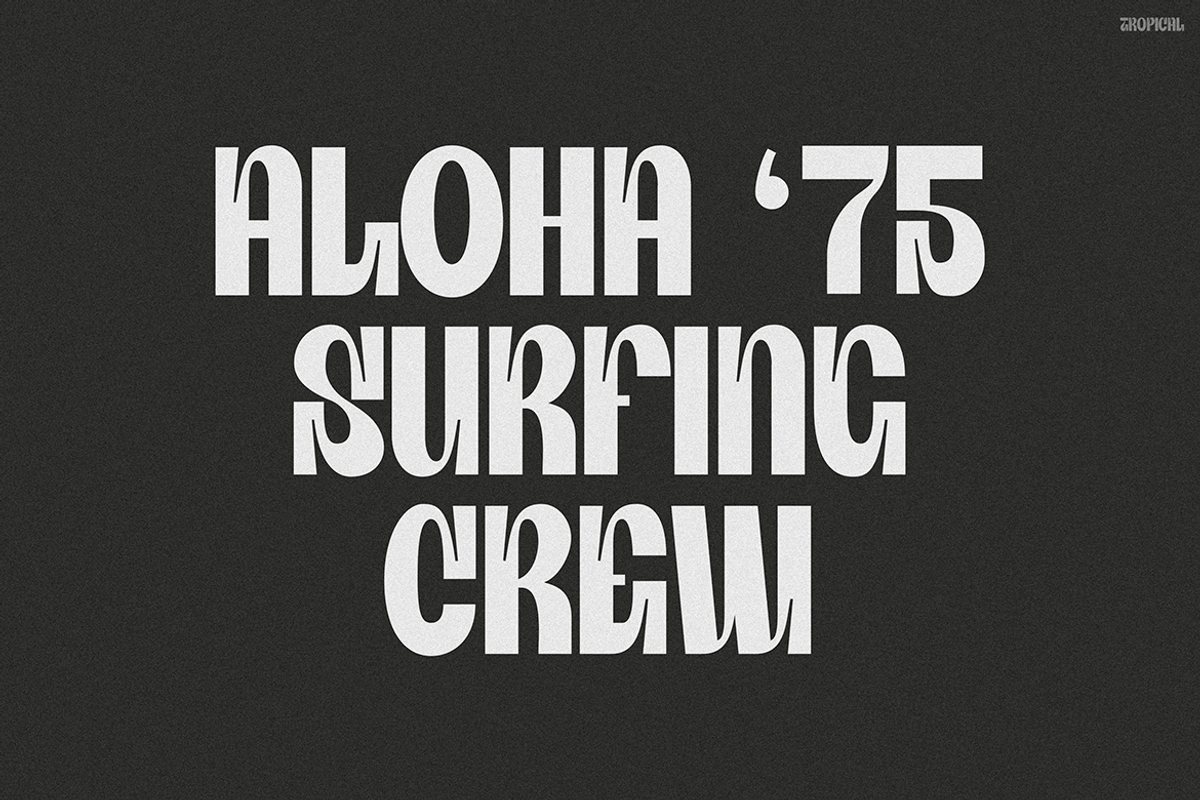 TROPICAL, a Font by Pinisi ART (Photo 10 of 10)