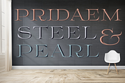 Color font PridaEm, a Serif Font by glukfonts (Thumbnail 1 of 7)