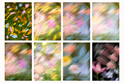 +38 Petal Haze Dreamy Blurred Flower, a Background Graphic by The Journey Atelier (Thumbnail 8 of 17)