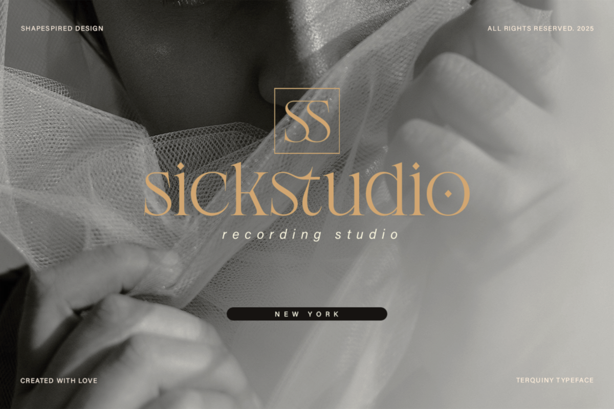 Terquiny - Modern Luxury Serif, a Serif Font by Shapespired Design (Photo 15 of 17)