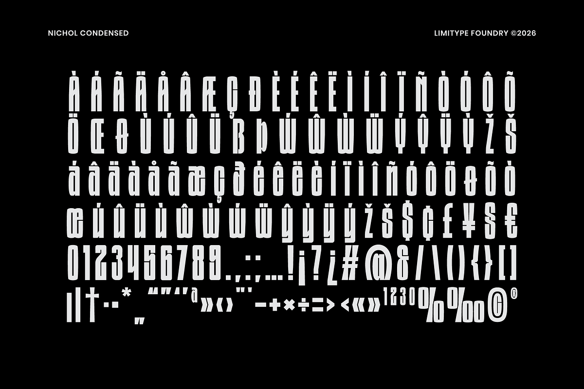 Nichol - Condensed Font, a Sans Serif Font by limitype (Photo 11 of 12)