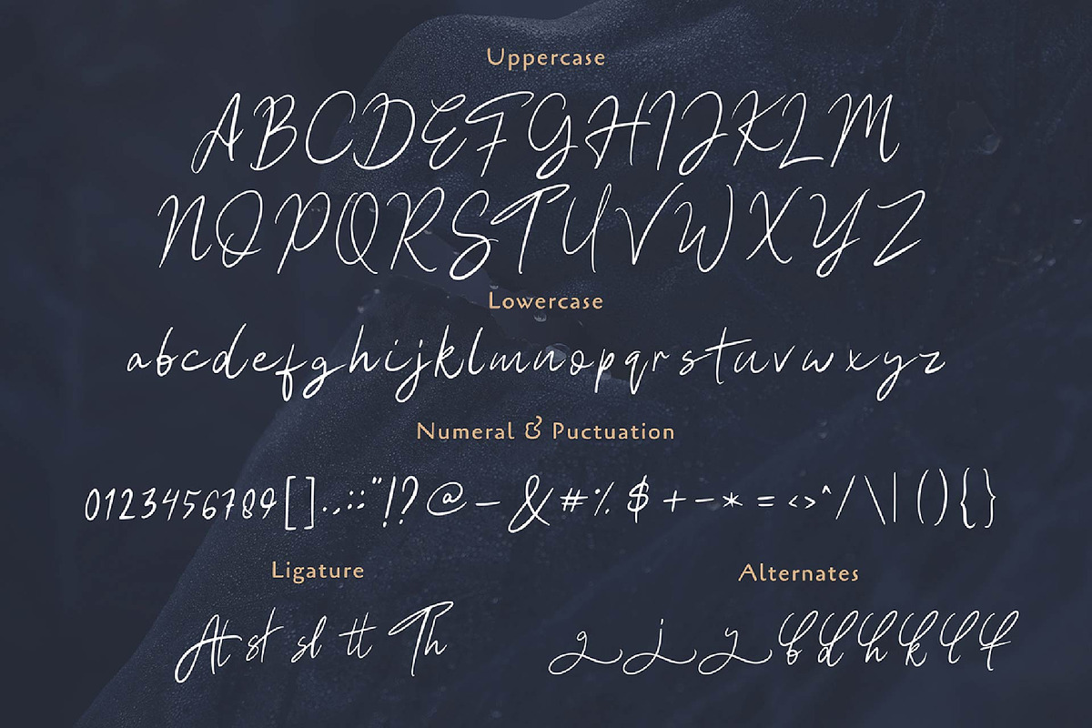 Hesgaki - Luxury Signature Font preview 4