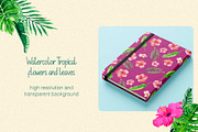 Tropical Botanical Watercolor, an Illustration by LazyArtyCat (Thumbnail 5 of 5)