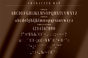 Richardo Flacky Premium Font, a Serif Font by Storytype Studio (Thumbnail 7 of 9)