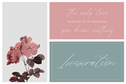 Antwerpen, a Script Font by Creamy Script (Thumbnail 6 of 6)