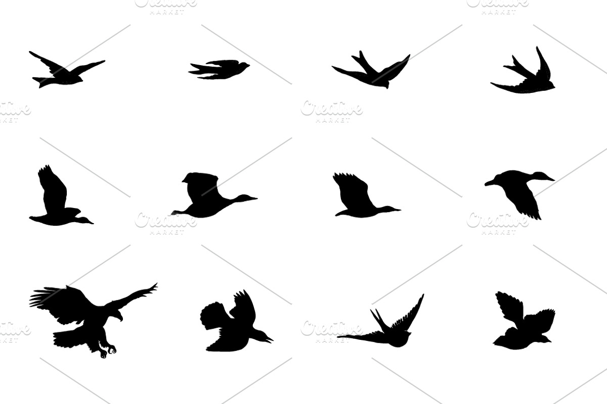 Rustic Animals Clipart - AI PNG EPS, an Animal Illustration by BirDIY Design (Photo 7 of 8)