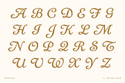 Handcrafted Vintage Script Font, a Script Font by Century Library (Thumbnail 4 of 6)