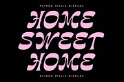 Plinko Display Font, a Serif Font by Storytype Studio (Thumbnail 7 of 15)