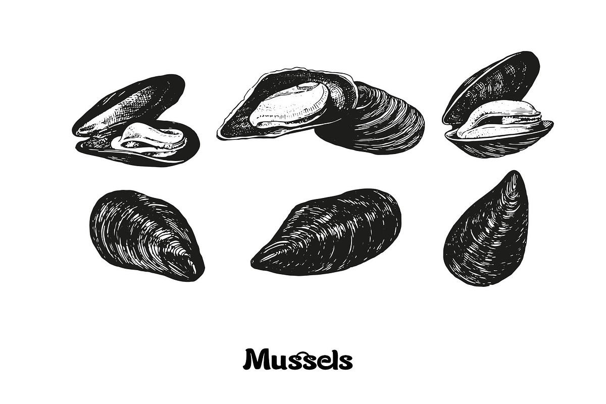 Seafood collection_part 1, a Food Illustration by ZotovShop (Photo 8 of 11)