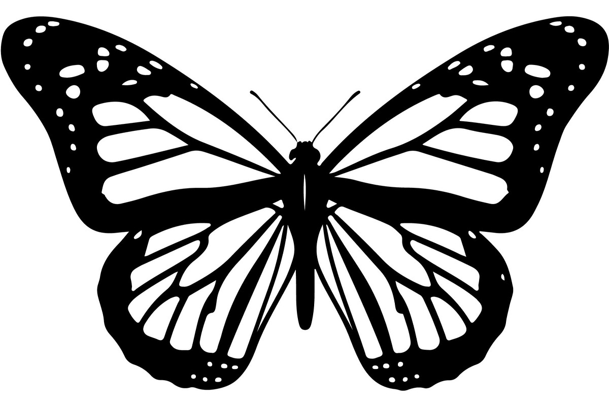 Butterfly Silhouette Bundle, an Object Graphic by Designer_Momina (Photo 10 of 20)