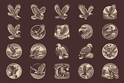Vintage Hand-Drawn Eagle Designs, an Animal Illustration by devastd (Thumbnail 2 of 8)