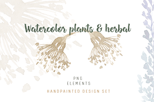 Watercolor plants & herbal elements.