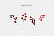 Christmas Florals, Poinsettia, an Object Graphic by ilonitta (Thumbnail 7 of 18)