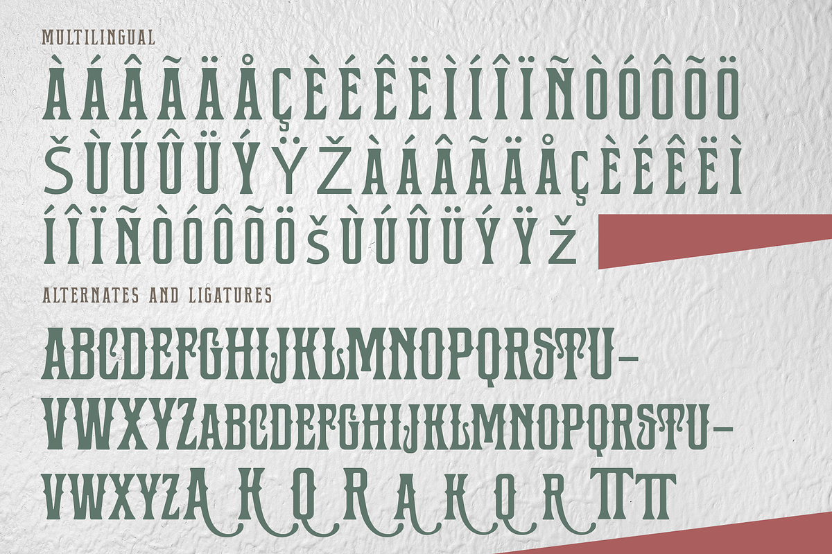 Bushcraft - A Serif Display Font, a Serif Font by overlaytemplates (Photo 5 of 5)