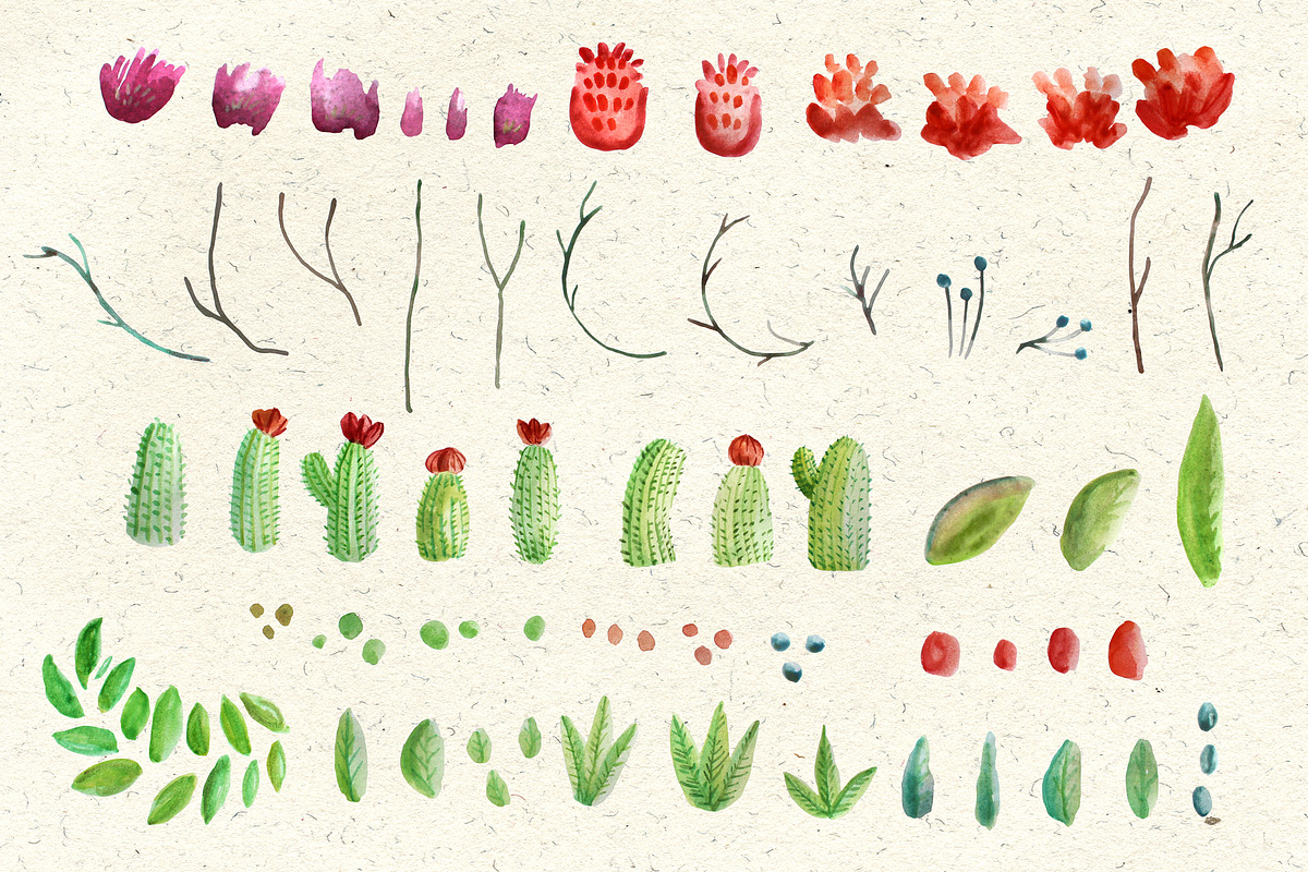 Watercolor Cactus & Florals Set, a Decorative Illustration by RalucaGheorghe (Photo 2 of 3)