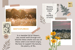 Bloomy Meadow - Handwritten Font