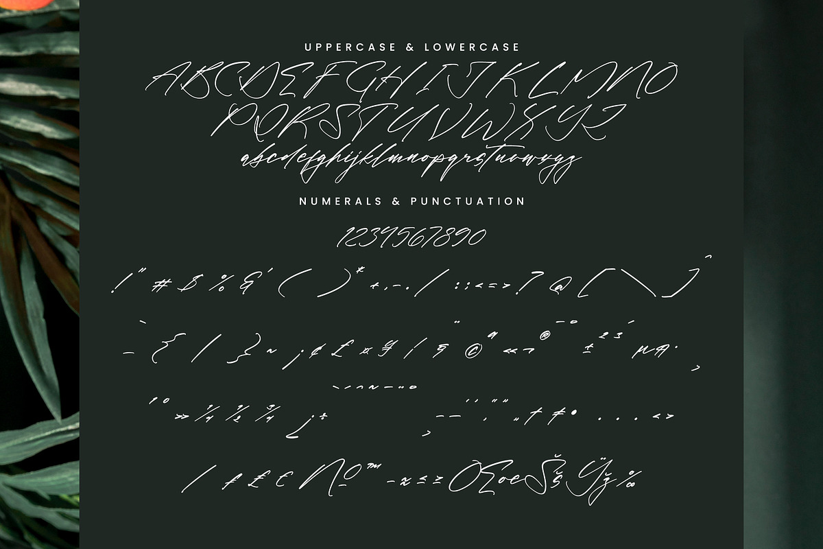 Bold Fade, a Script Font by Integritype Studio (Photo 13 of 15)