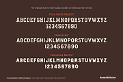 The Vintage Rustic Three Font Bundle, a Serif Font by Komet & Flicker (Thumbnail 2 of 16)