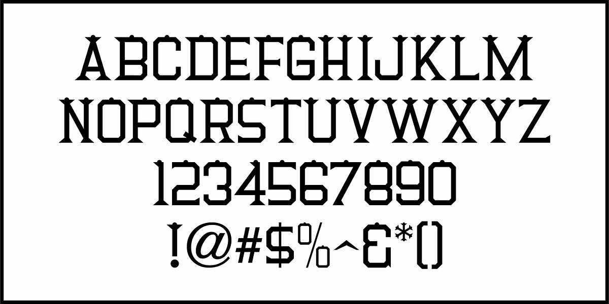 Beer Joint JNL, a Serif Font by Jeff Levine Fonts (Photo 3 of 5)