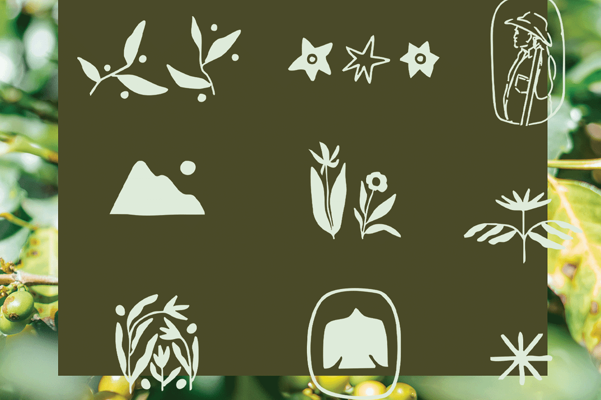 Coffee Bag Labels & Illustrations, a Graphic by Mere Hunter (Photo 5 of 6)