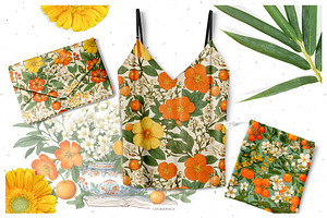 Clementine Botanical Collection